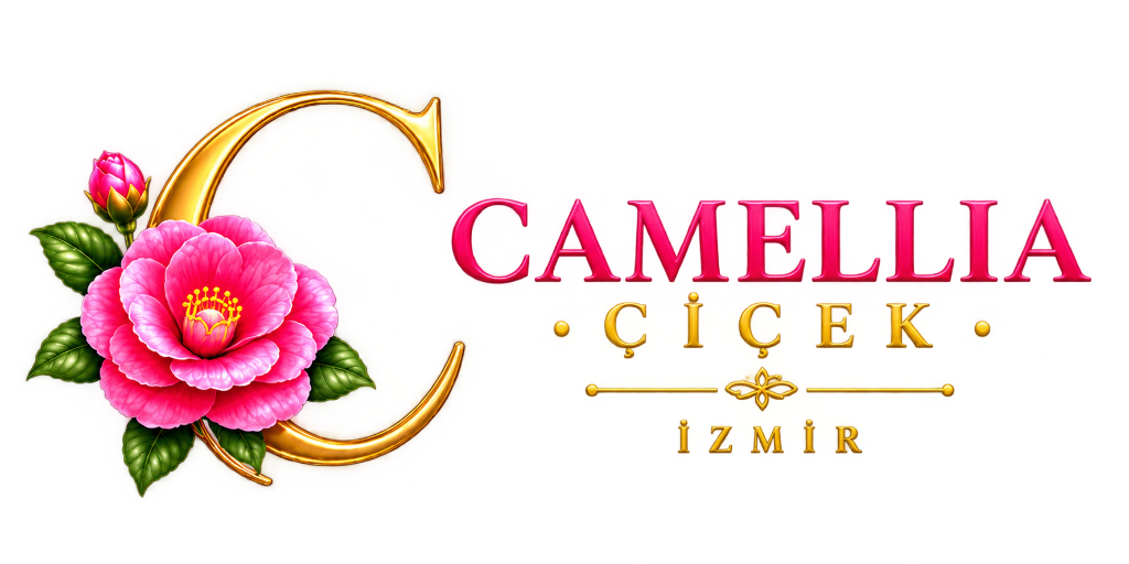 Camellia Çiçek
